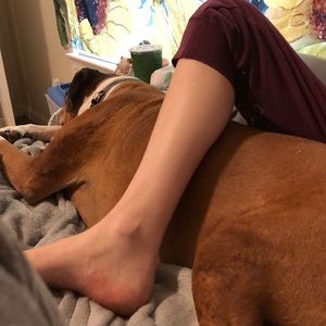 Meet your Posher, Sam